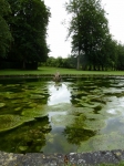 parc et chÃ¢teau de Courances